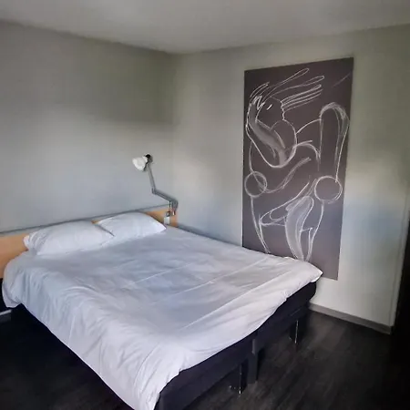 Ibis Strasbourg Aeroport Le Zenith 3* לינגולשהים