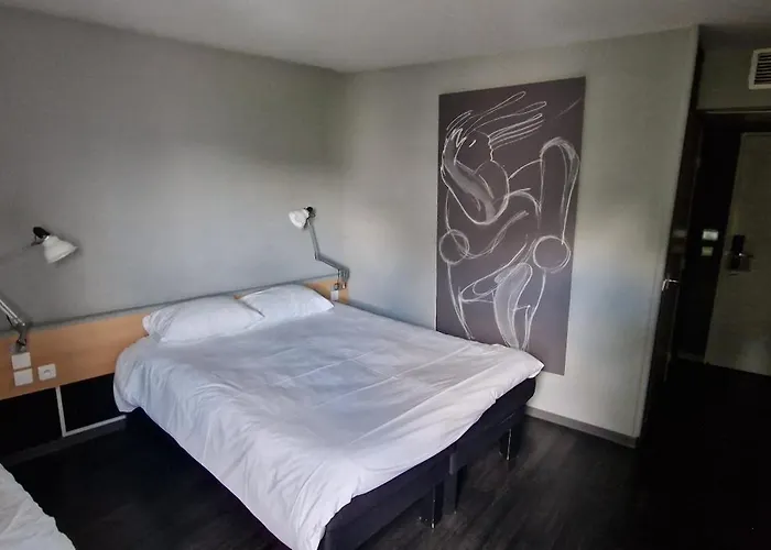 宜必思斯特拉斯堡机场泽尼斯体育场酒店 3* 利戈尔塞姆